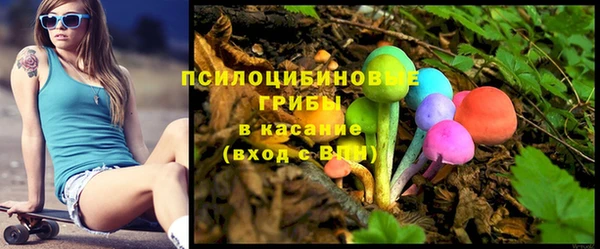 ECSTASY Верхний Тагил