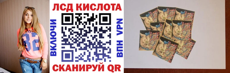 Марки 25I-NBOMe 1,5мг  мега онион  Каменногорск 